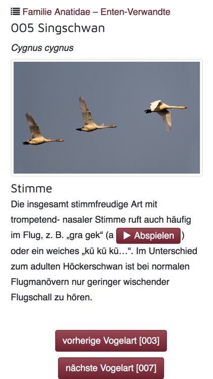 Flugrufe der Vögel