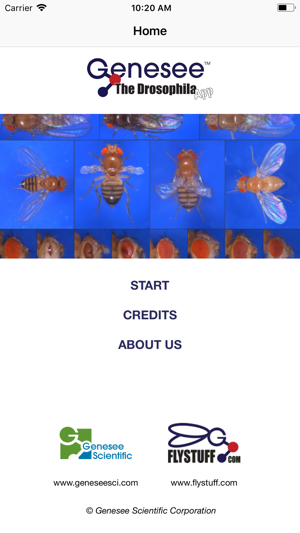 Drosophila(圖3)-速報App