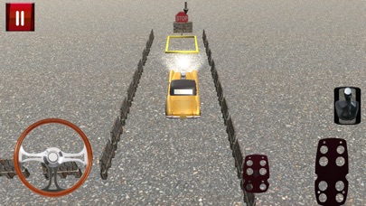 Crazy Car Driver Sim screenshot 3