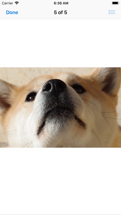 Shiba Inu Sticker Pack screenshot-6