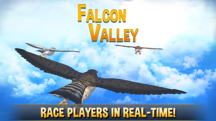 Falcon Valley Battle screenshot-0