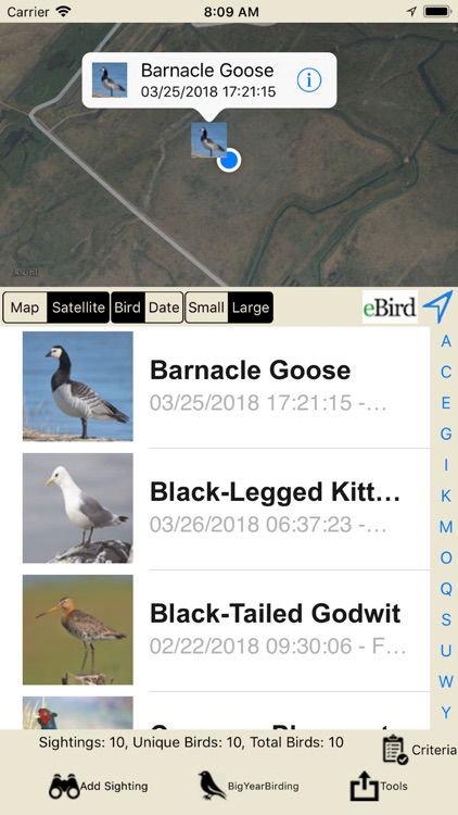 Big Year Birding GB screenshot-3
