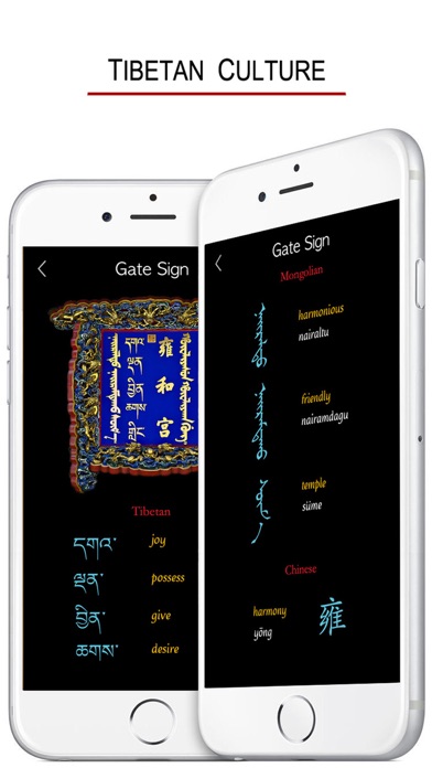 Learn Tibetan Handwriting ! Screenshot 5