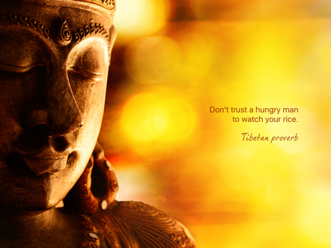 Wisdom of Buddha screenshot 4