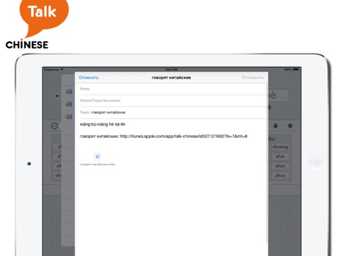 Talk Chinese! screenshot 4