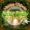 Hidden Objects - Secret Forest in the Night