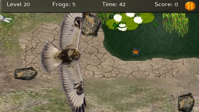 Baby Frogs - Frog Wrangling screenshot 4