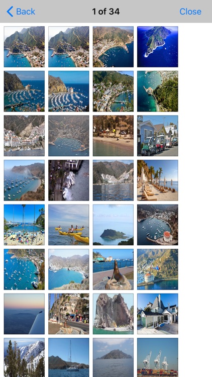 Santa Catalina Island Guide screenshot-5