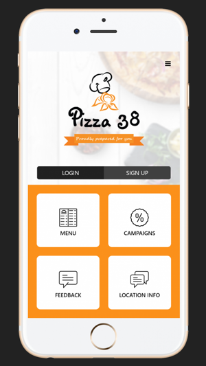 Pizza 38