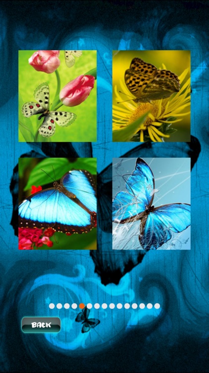 Butterfly Jigsaw