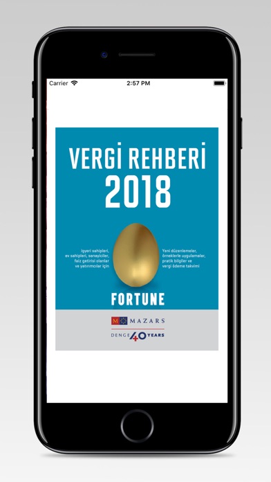 Vergi Rehberi 2018 screenshot 2