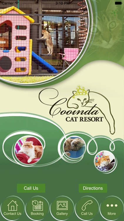 Cooinda Cat Resort