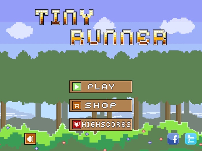 Tiny Runner