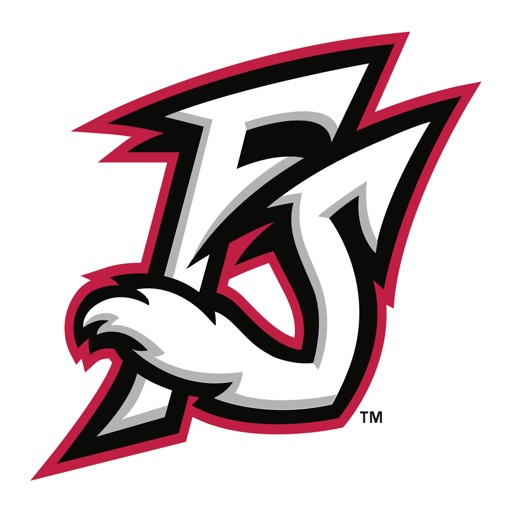 Flying Squirrels Emoji