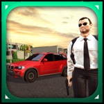 Driver Mafia City Edition