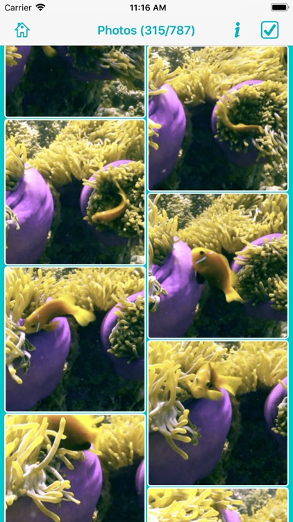 Video 2 Photo Extractor screenshot-3