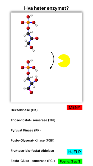 Glykolyse(圖8)-速報App