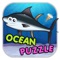 Ocean Animal Puzzle Flash Card