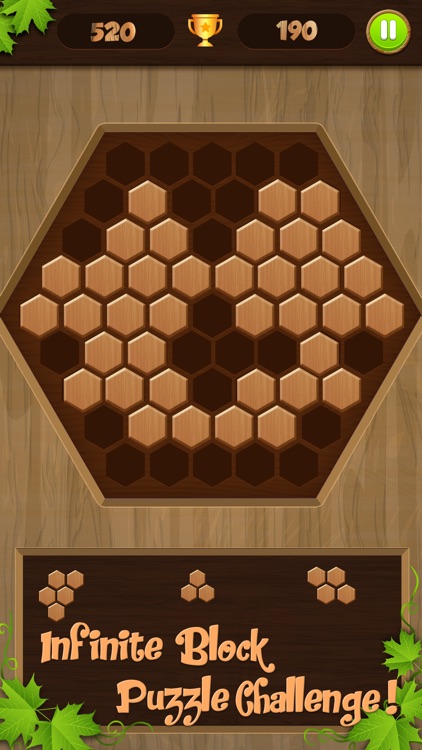 Wooden Puzzle Block Jigsaw screenshot-3
