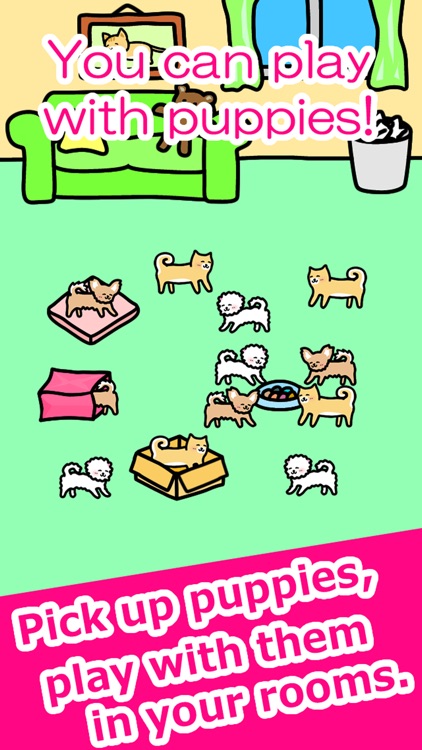 Play with Dogs