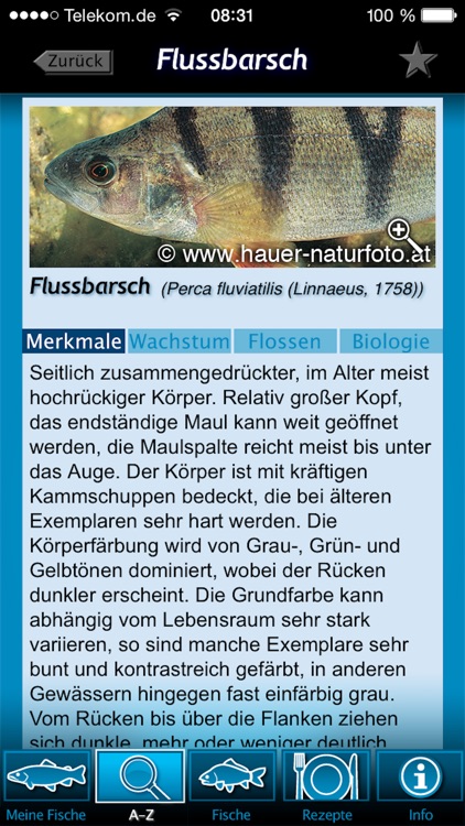 Fische bestimmen