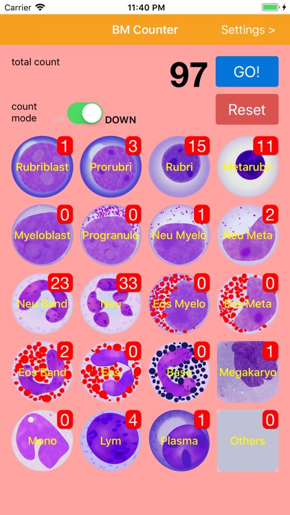 BM Counter