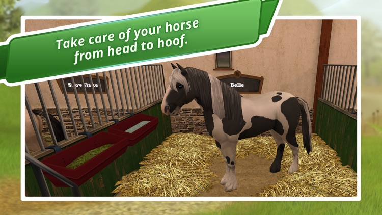 Horse World - My Riding Horse screenshot-0