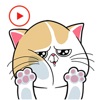 Cat Stickers Animated