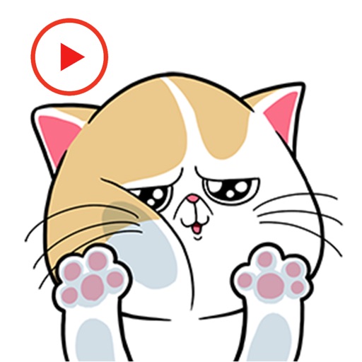 Cat Stickers Animated icon