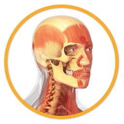 Miniatlas Anatomy