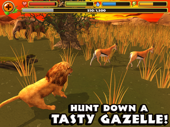 Safari Simulator Lion By Gluten Free Games Ios United States Searchman App Data Information - roblox wild savanna lion attackszx
