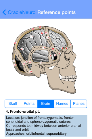 Oracle of Neurology and Neurosurgery screenshot 4