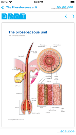 Miniatlas Anatomy(圖3)-速報App