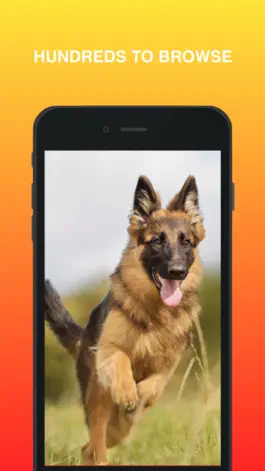 Game screenshot German Shepherd Wallpaper apk