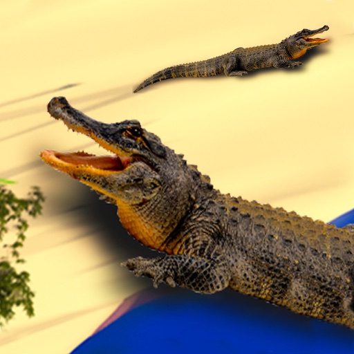鳄鱼模拟器攻击3D