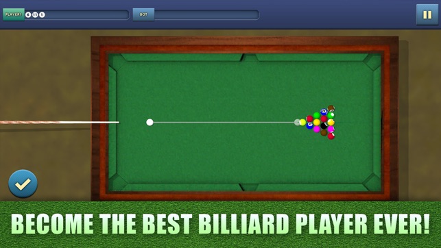 Pool Billiard 8 Ball Champion