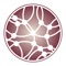 NetTools Pro helps you to assess your network security