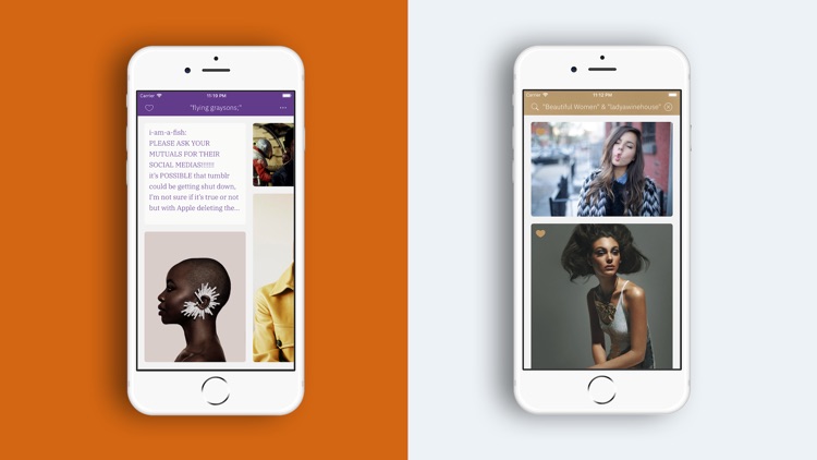 T Plus One - A tumblr client