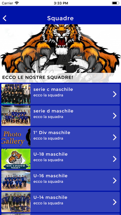 A.C.Volley screenshot 3