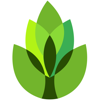 no app image