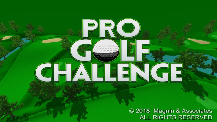 Pro Golf Challenge screenshot-0