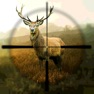 Get Hunting Simulator for iOS, iPhone, iPad Aso Report