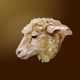 Sheep Stickers - Sid Y