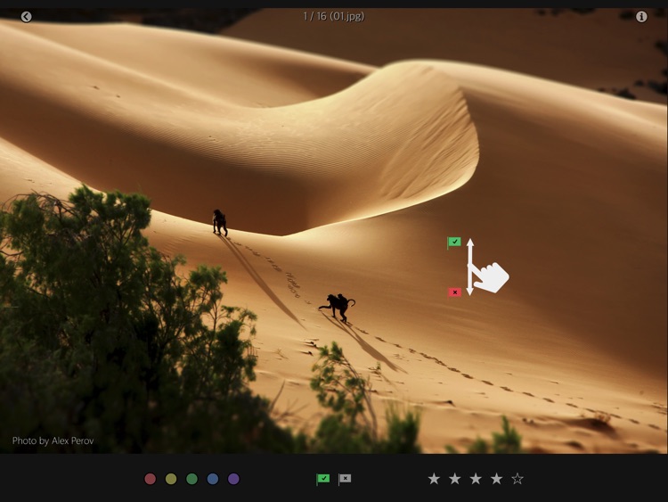 PhotoPicker for Lightroom D