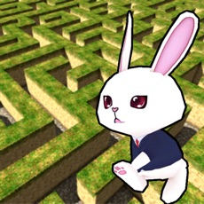 Activities of Rabbit explore the 3D maze!!