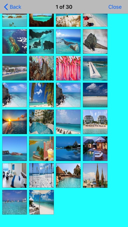 Island In Turks & Casino screenshot-5