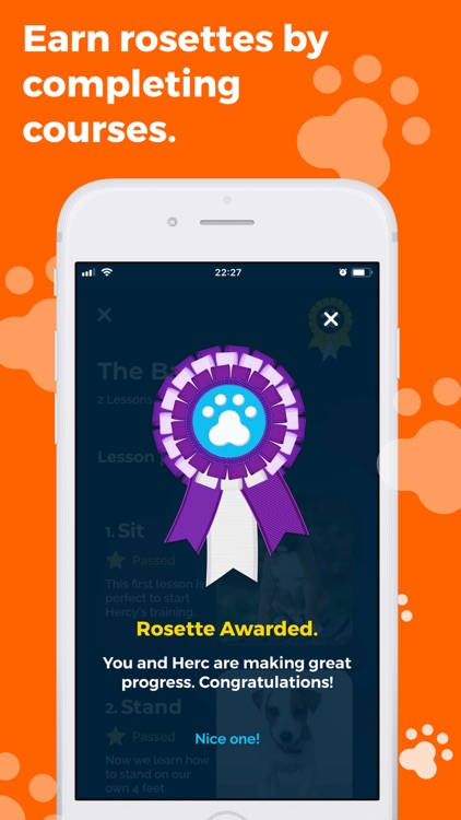 Pawey - Dog Training