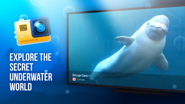 Underwater Webcam