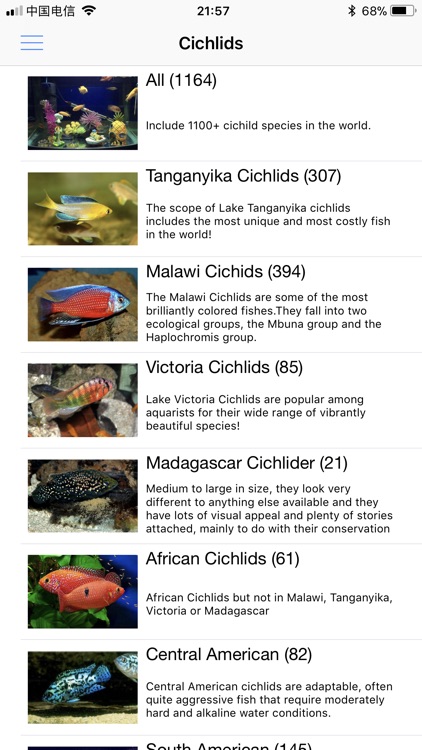 Cichlid