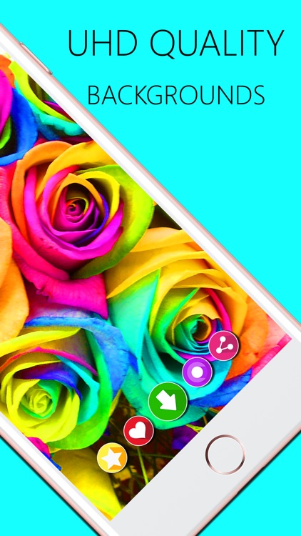 Wallpapers & Backgrounds Style
